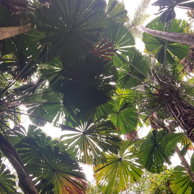 Johanna - Facilitator