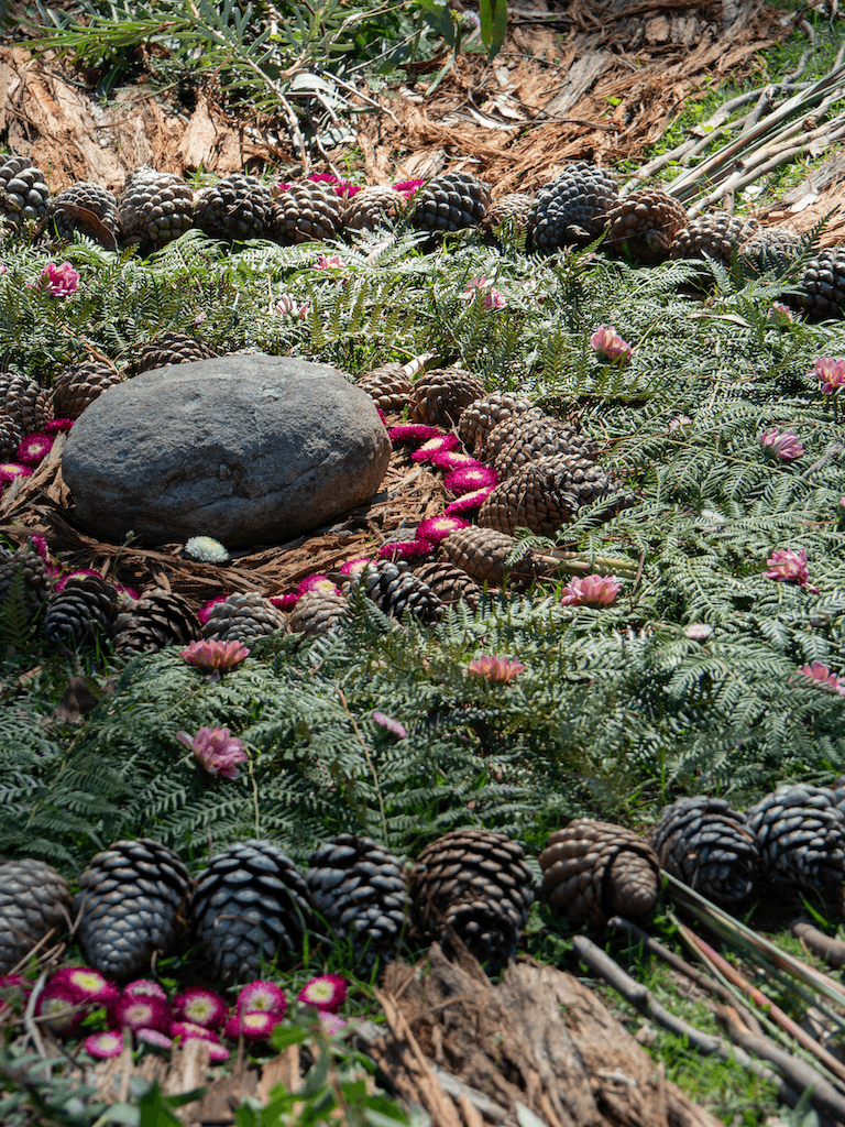 Evolve Festival @ Gilwell Park